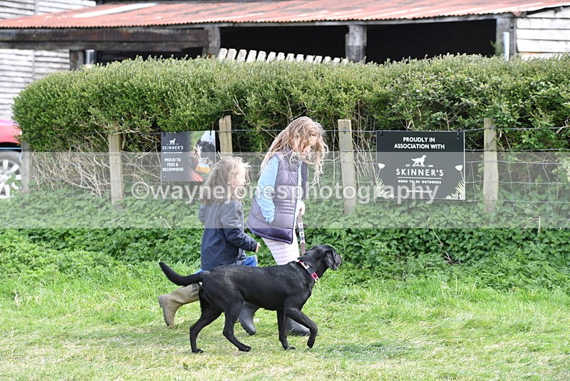 WJ5_0740 - Best in Show Championship