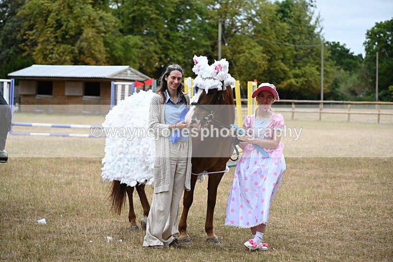 WJ6_9004 - Class 11 Fancy Dress