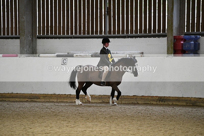 WJ5_7402 - Class 11 Ridden PC - RC Pony