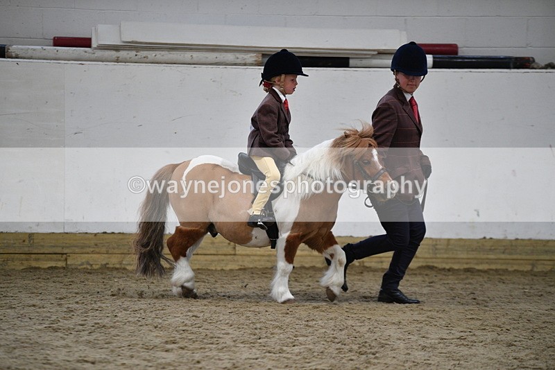 WJ5_6776 - Class 10 Childs Pony
