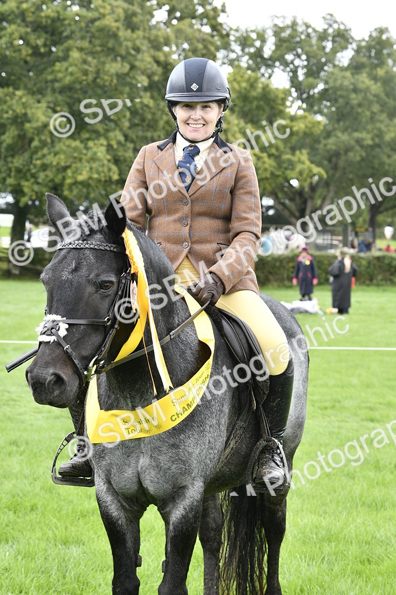 SBM_38274 - S31 - Novice & Newcomer Working Hunter Pony