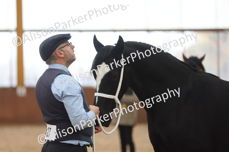 20251109-0952 - Class 26 - 2 and 4 Year Olds