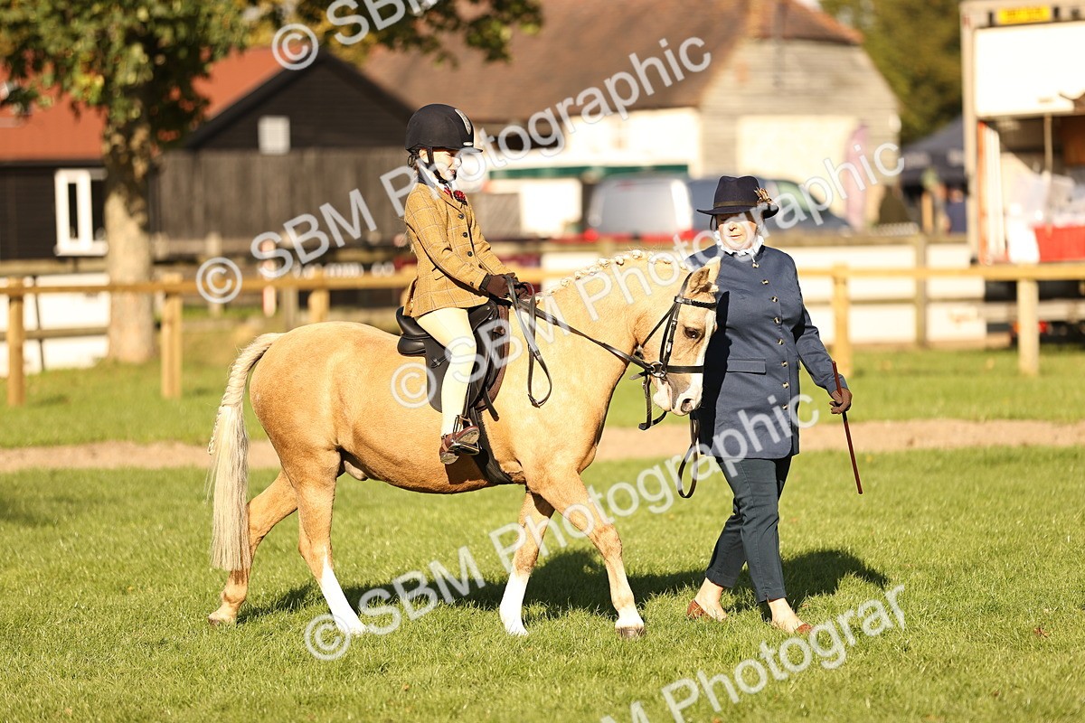 SBM_29387 - S7 - Novice & Newcomers Ridden Pony