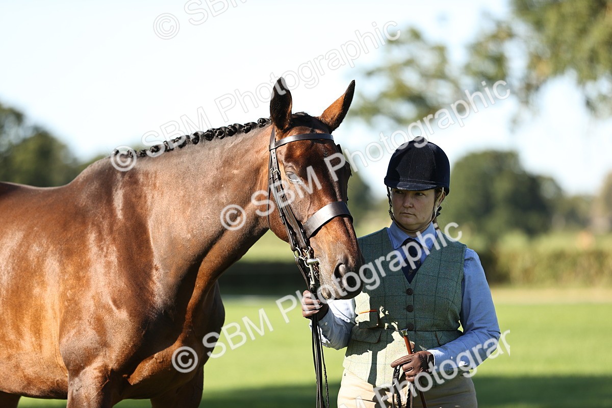 SBM_15787 - S1 - TSR in Hand Horse & Pony Showing