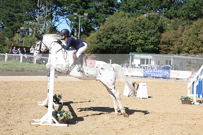 3E7A4800 - Class 8: 80cm Junior