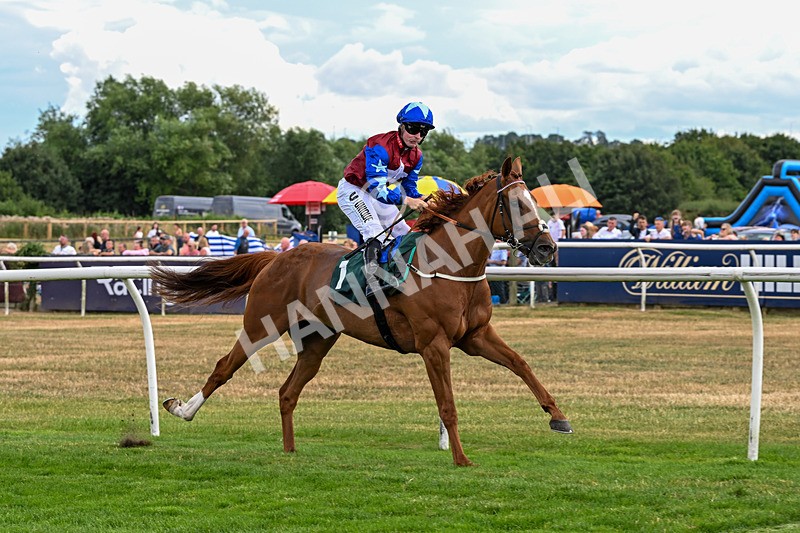 040826-Race 3-Free World-5108 - Race 3 15.15pm Jacky Rylance 60th Birthday Celebration Handicap