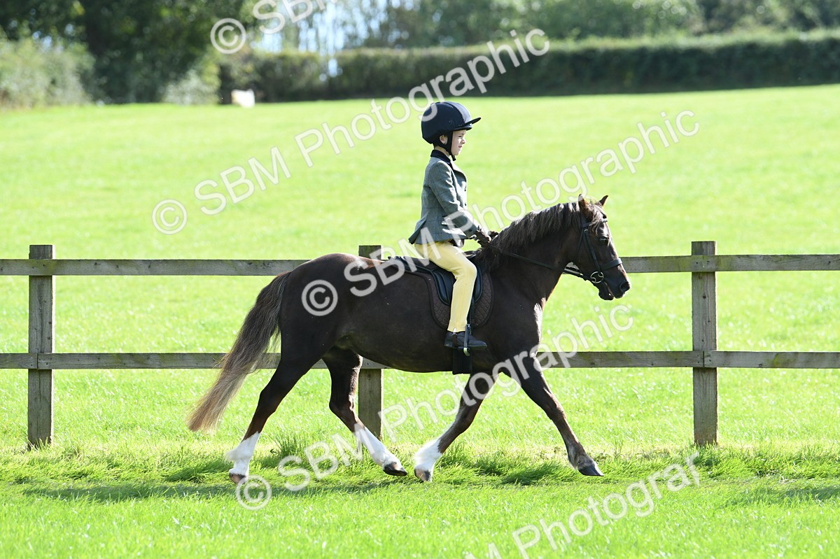 SBM_50257 - S21 - Novice & Newcomers 1st Ridden Pony