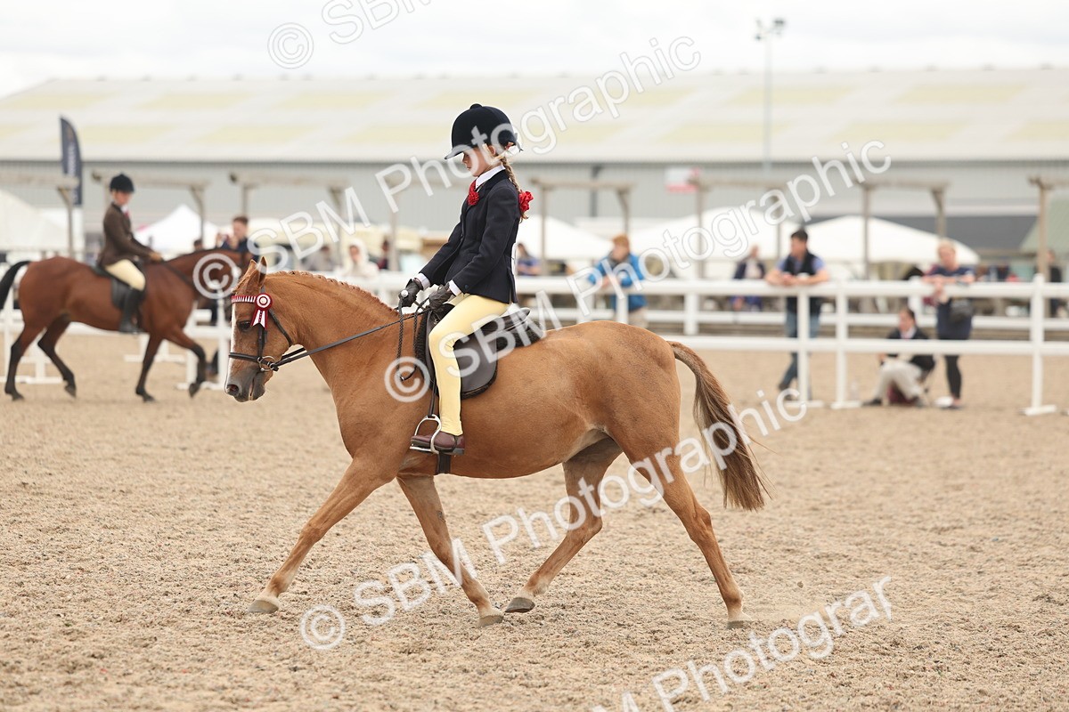 SBM_19143 - Class 316 - Best Pony-Rider Combination