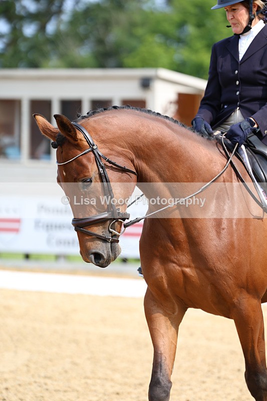 3E7A8939 - Class 1: Intro 1 2024 Section A