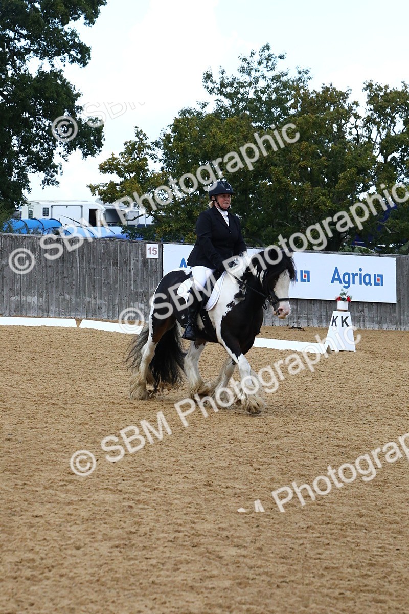 SBM_21026 - D5 - Small Tour Championshop Intro 2