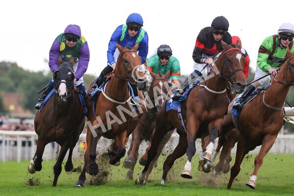 yr24092021r6-22 - Race 6 4.25pm William Hill Pick Your Places Stakes