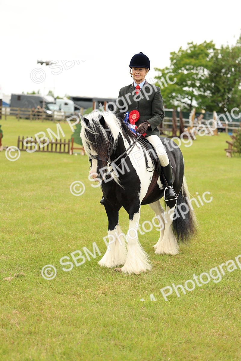 SBM_06334 - Class 39-41 TGCA In Hand and Ridden