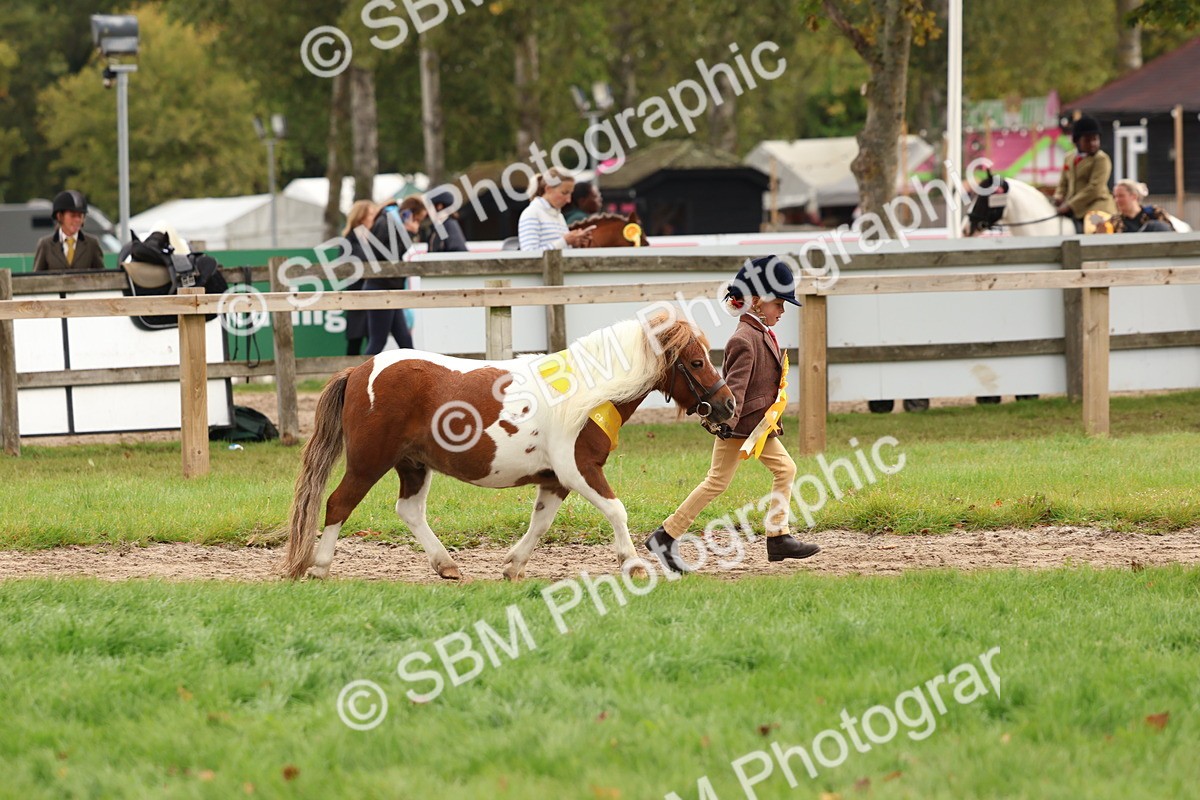SBM_59771 - Start Supreme Championship