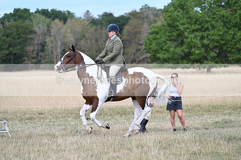 WJ7_7284 - Class 14 Ridden Coloured