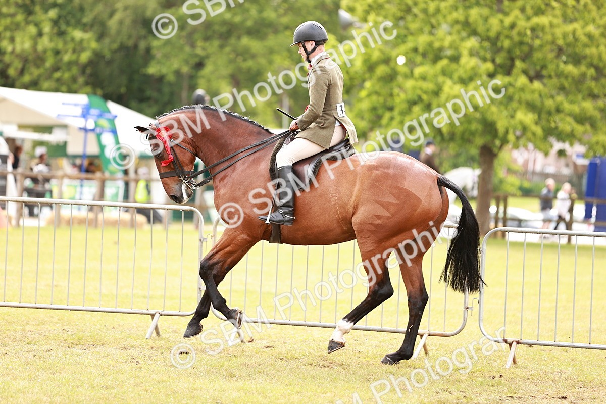 SBM_11588 - Class 81-84 - RIHS Ridden hunters Inc Ladies Hunter