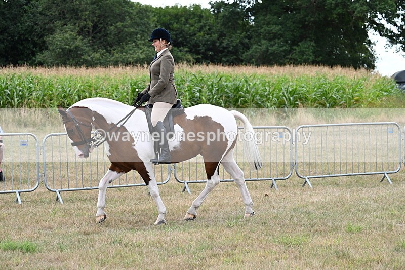 WJ7_5010 - Class 12 Ridden Cob