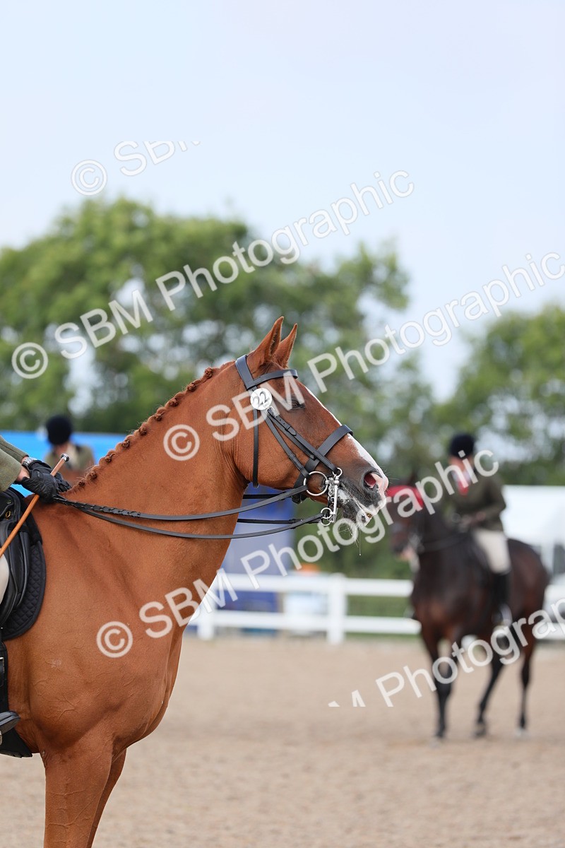 SBM_11435 - Class 305 Ridden Foreign Breeds- Pure Bred