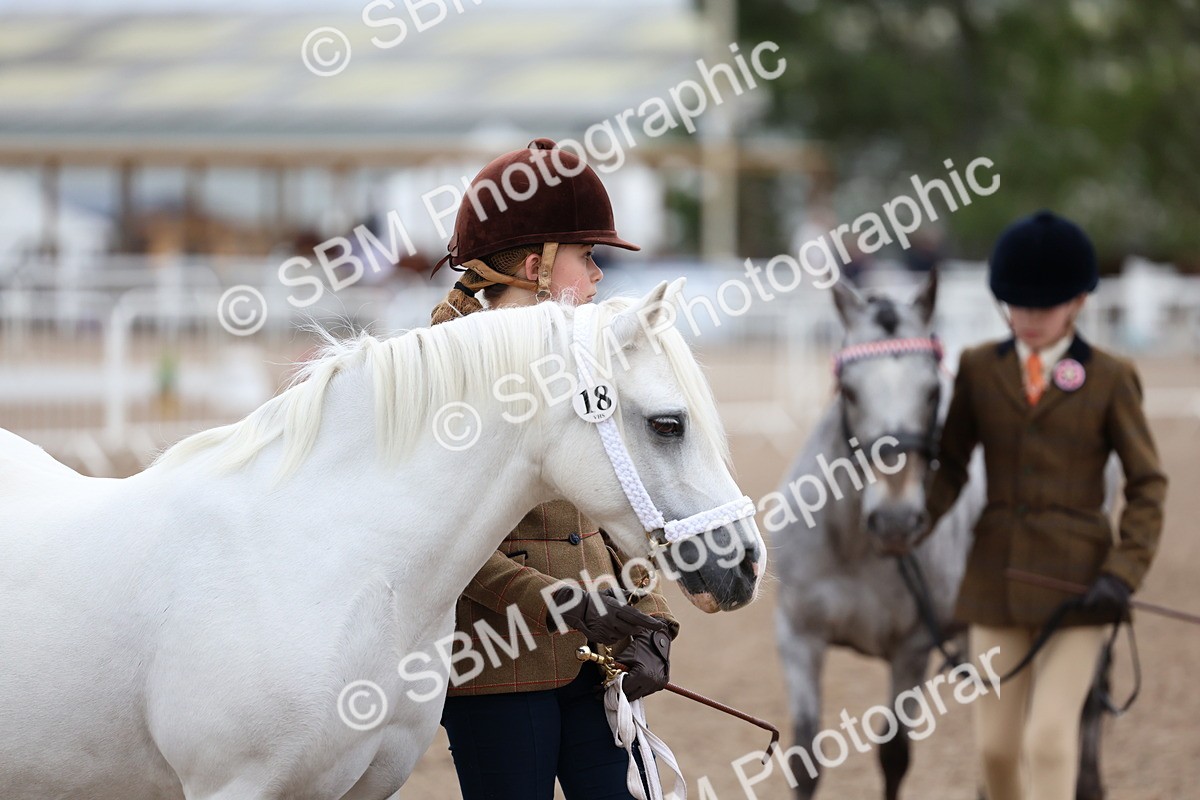 SBM_00263 - Class 13 - Young Handler