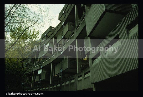 Ac56 - Graffiti Galery (2)