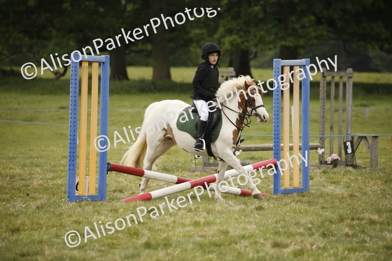 20250517-0888 - Class 2 - 30cm Off Lead Rein