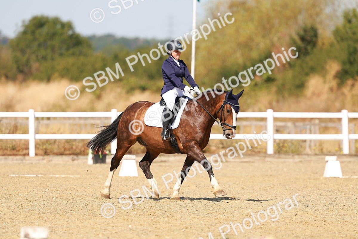 SBM_017949 - Class 9 - N5 Bronze 10.33.11.36