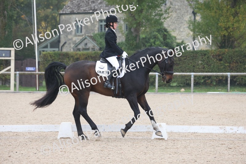 20251012-0465 - Class 3 - Novice 5