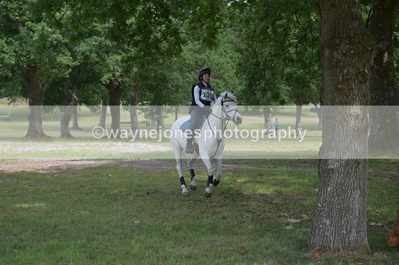 NGP_8146 - Time 11:39 to 11:48