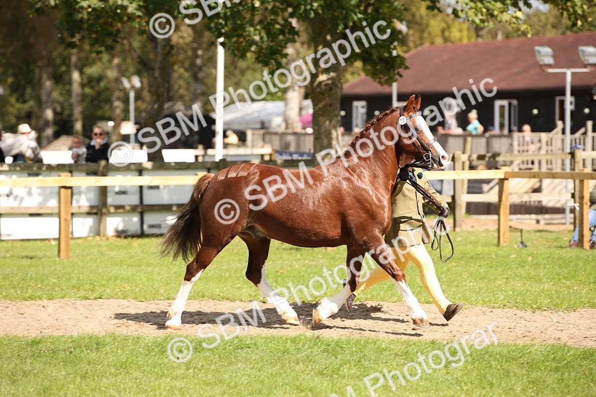 SBM_44383 - S24 - Young Veteran in hand