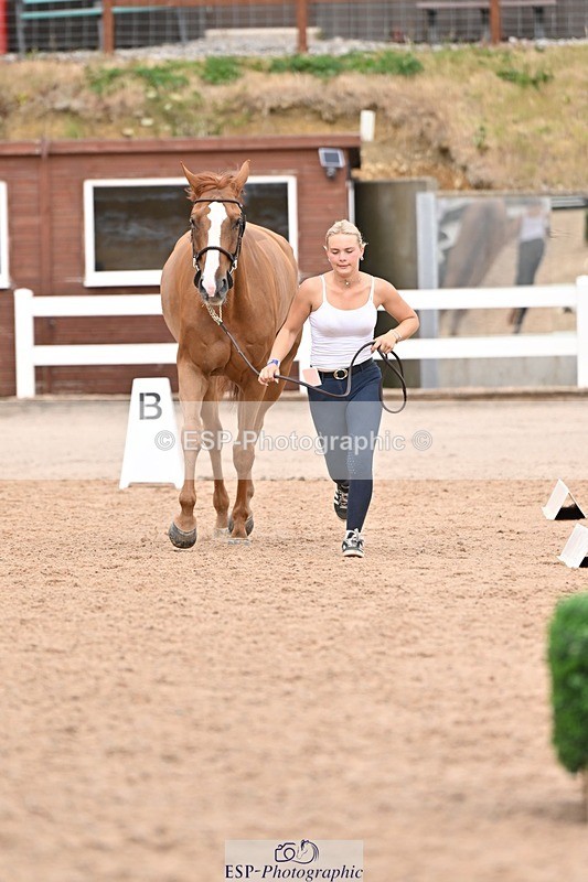 250716-163021-02647 - Trot Up 4.30 to 5.00