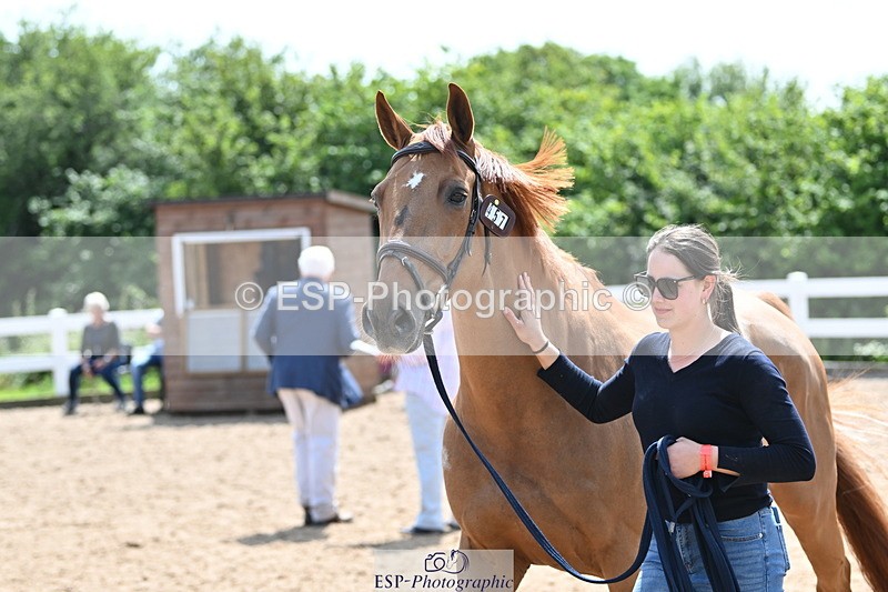 240717A-150706-02558 - Trot Up 3pm to 4pm