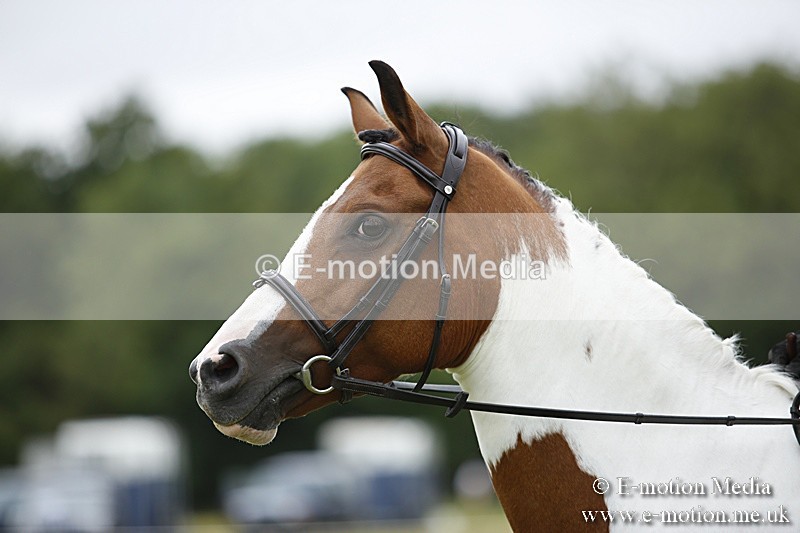 BVR160717-307 - Ring 1 BVRC Show 16/07/17