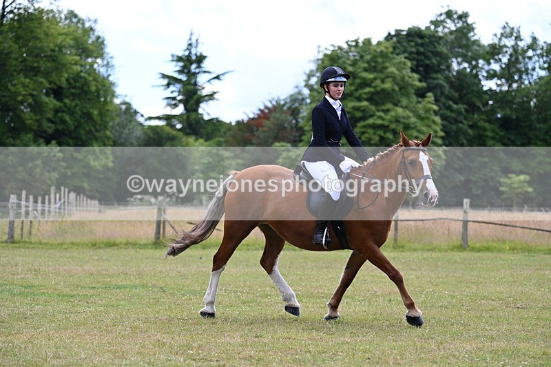 WJ7_9518 - Class 8 Ridden Veterans