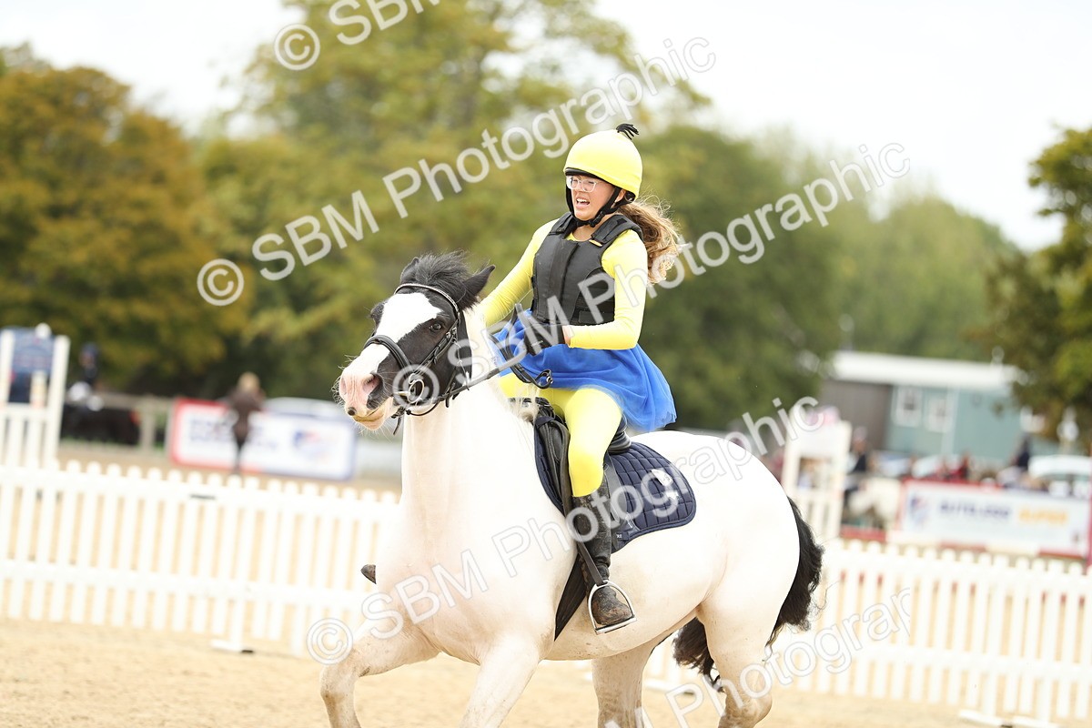 SBM_65806 - J48 - Pairs Jumping Open 70cm & 85cm