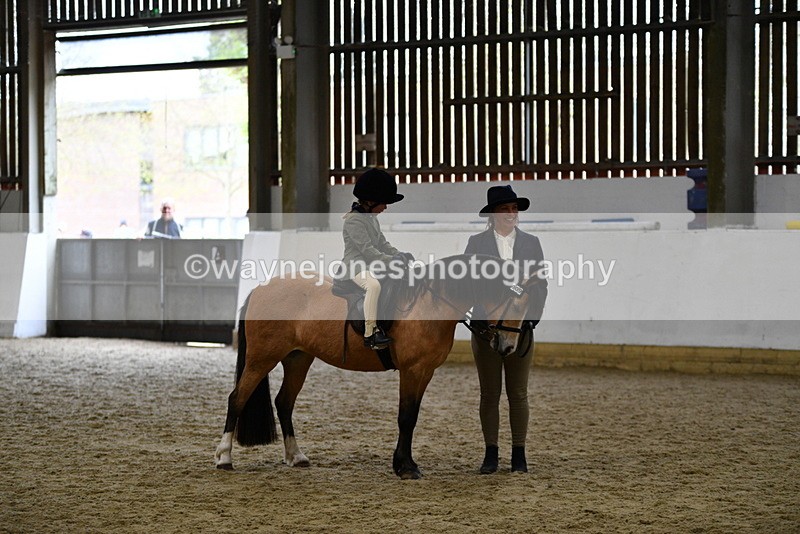 WJ5_6755 - Class 10 Childs Pony