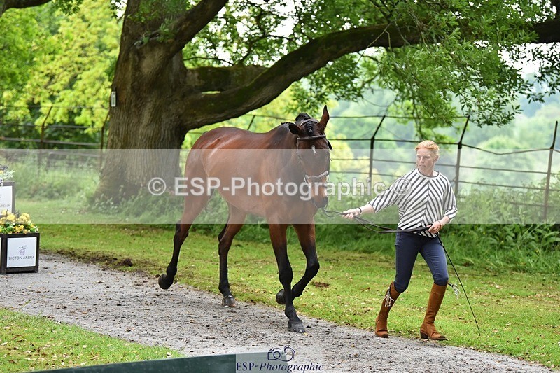 240522-170206-01340 - 274-JACK_OF_CLUBS-Rosalind_Canter