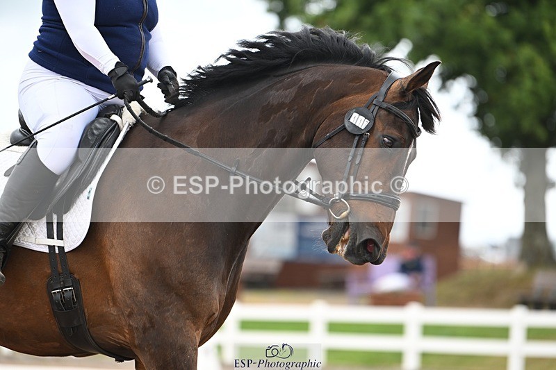 250705-175531-02991 - N3 Section BDNOV3 15.55 to 17.19