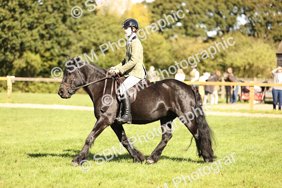 SBM_19081 - S3 - TSR Ridden Pony Showing