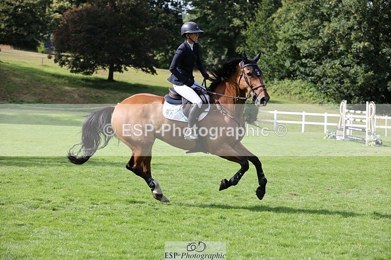 250704A-170902-12295 - Cls 18 Snr 1.40m Grand Prix