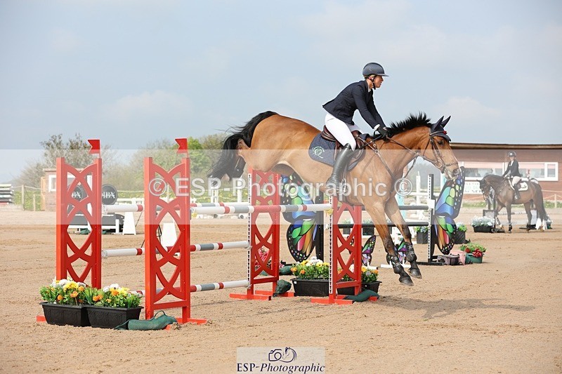 250424-102354-02988 - Cls 33 Young Horse 7yr old