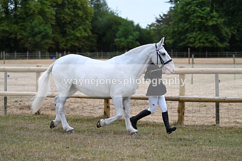 WJ7_8873 - Class 4a Prettiest Mare 14.2hh and over