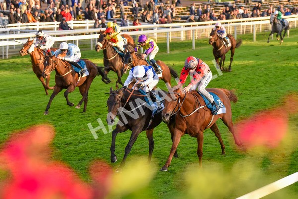 131023-Race 7-Thunder Roar-0144 - Race 7 5.35pm Visit Irish Bloodstock Sales With ITM Apprentice Handicap