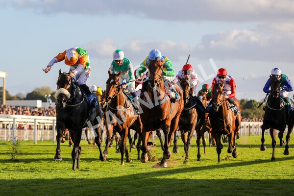 yr08102022r7-29 - Race 7 5.00pm The Coral Gets You Closer To The Action Stakes