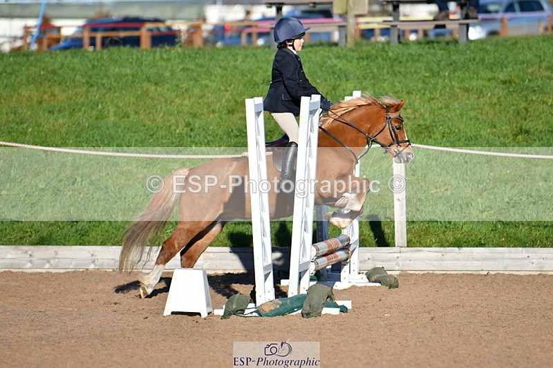 231202A-124354-01215 - Cls 02 50cm