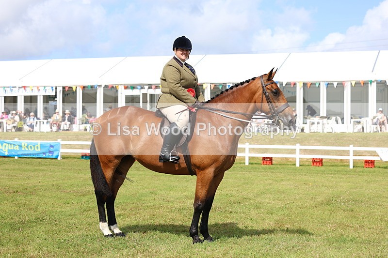 3E7A9583 - Class 4: Rising Star M/H Hunter