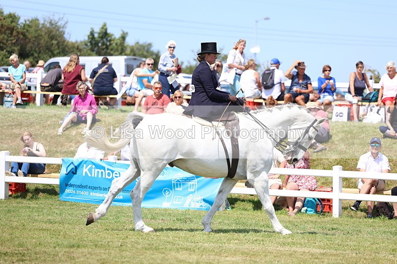 3E7A9613 - Class 13: Side Saddle