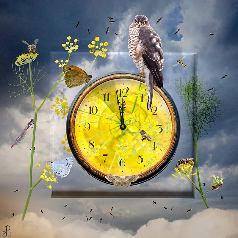 Still Life Photography by Diana Uzun
