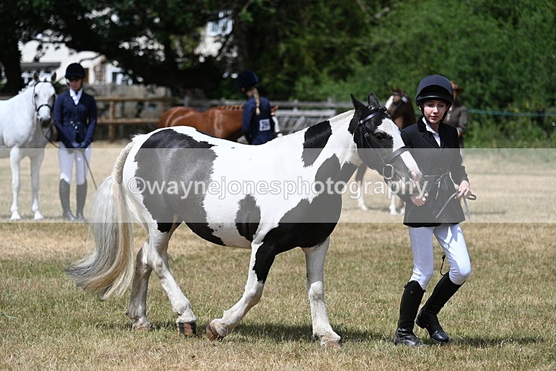 WJ7_1707 - Class 4 Prettiest Mare up to 14.2hh in hand