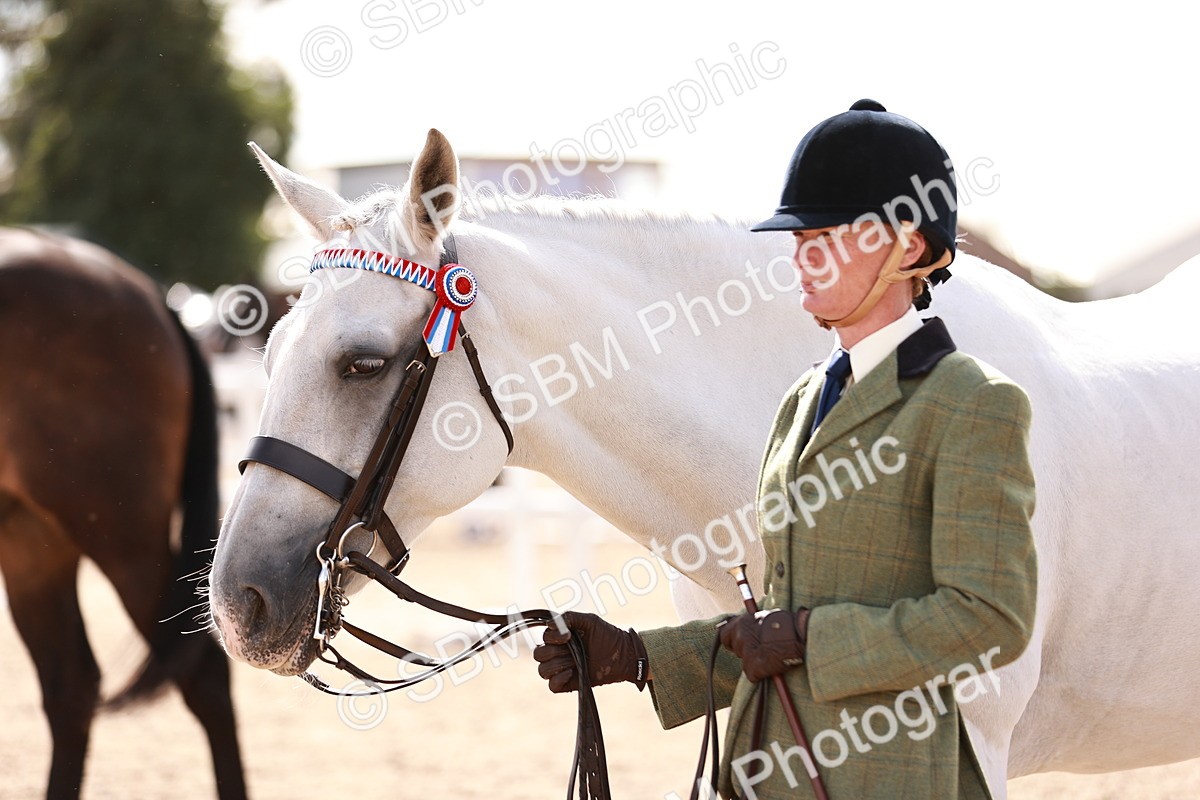 SBM_14210 - Class 407 - IH Hack Riding Horse