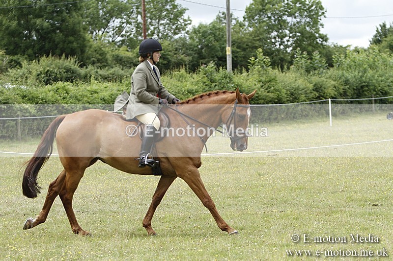 BVR160717-2290 - Working Hunter Championship 16/07/17
