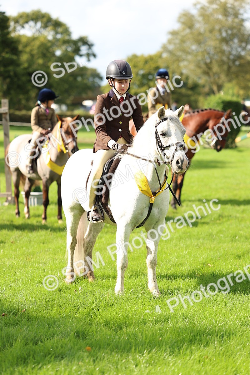 SBM_46364 - Working Hunter Pony Supreme Championship